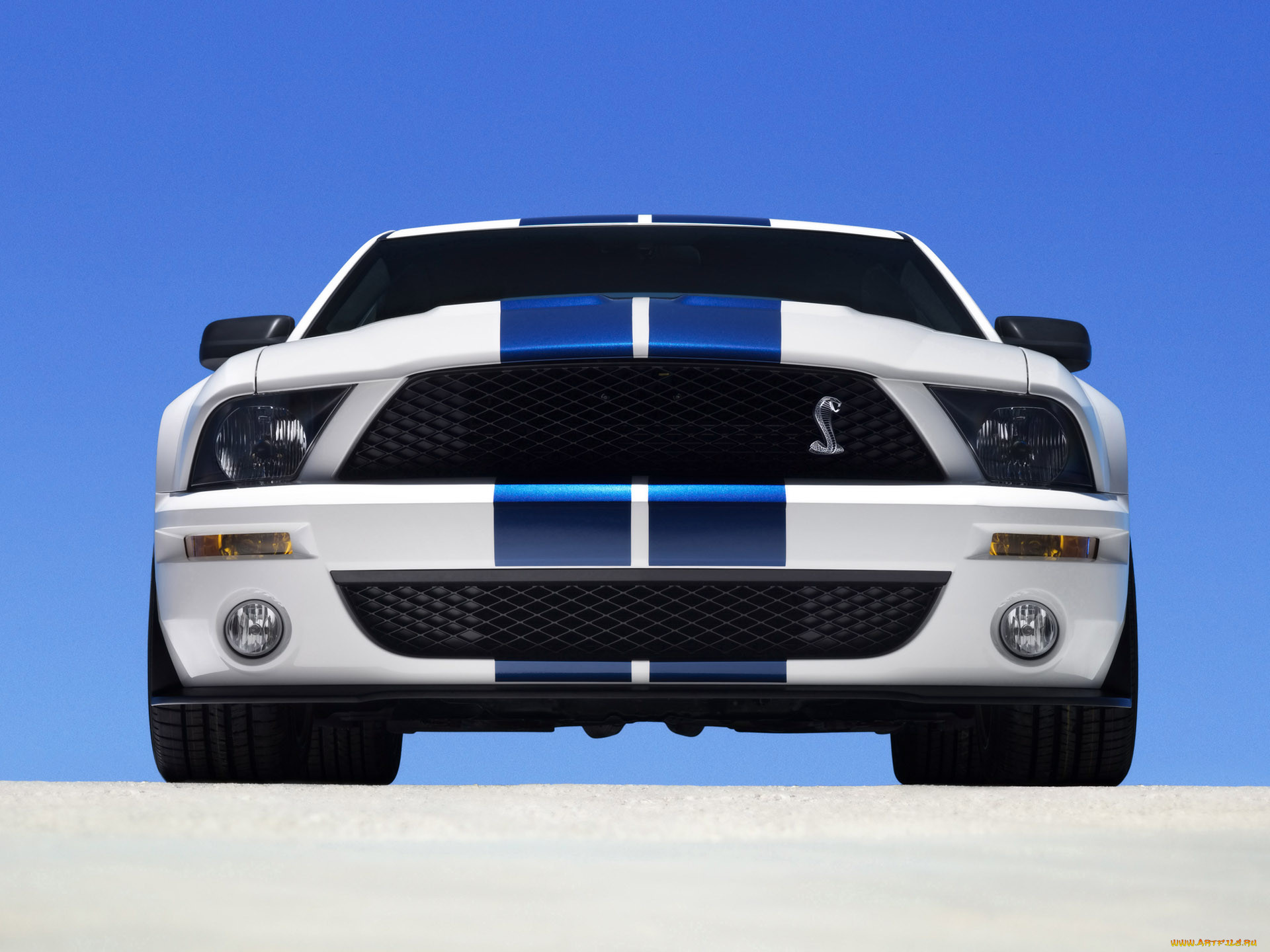 2007, ford, shelby, gt500, 
